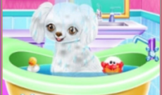 My New Poodle Friend - Pet Care Game
