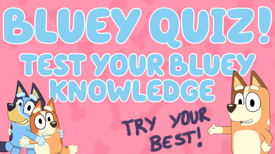 Bluey Quiz